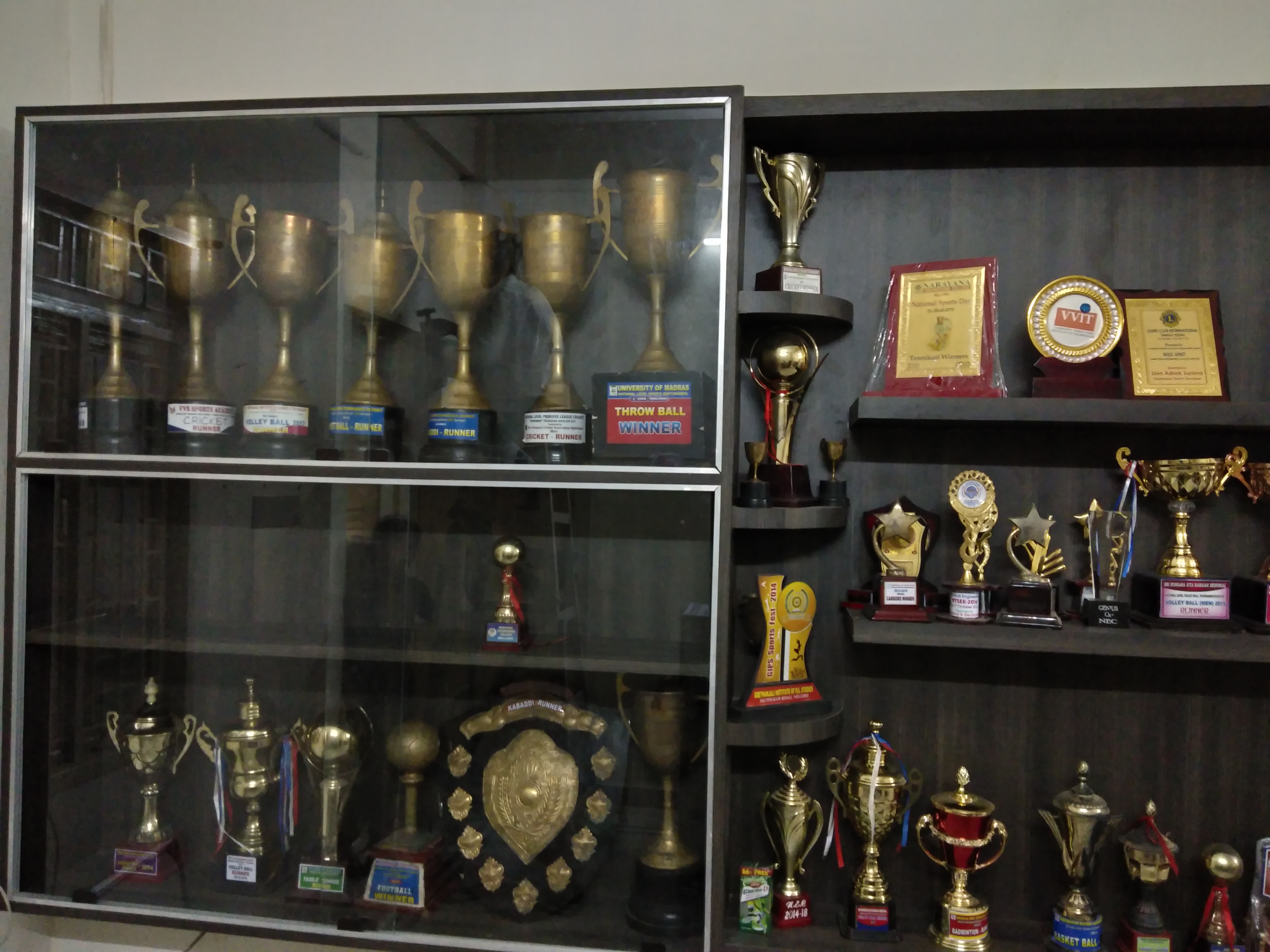 Awards & Rankings